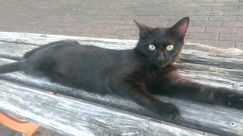 IMAG0510