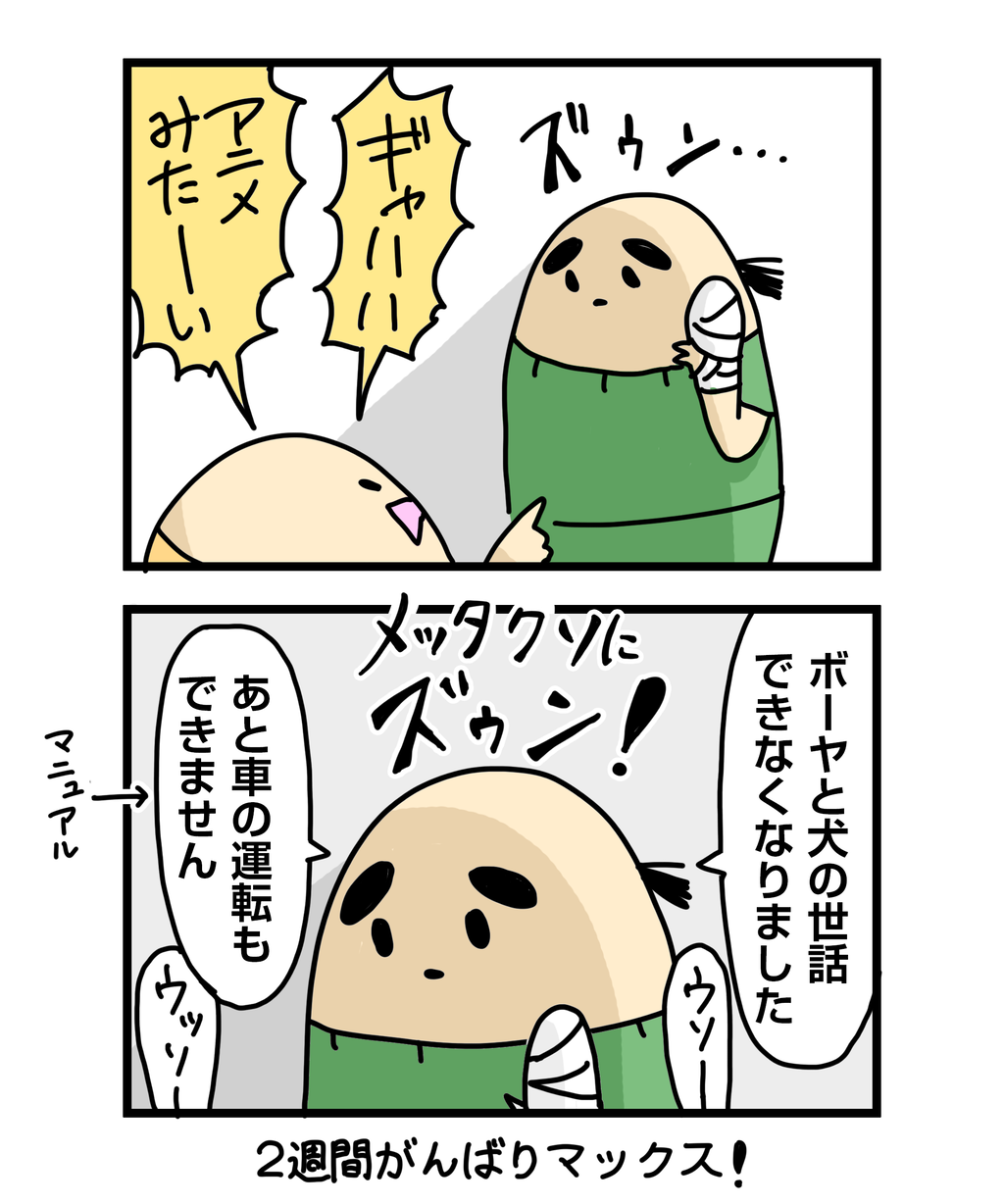 ダル