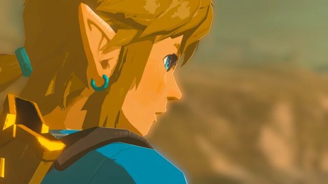 ゼルダの伝説botw だるだるだるめしあん
