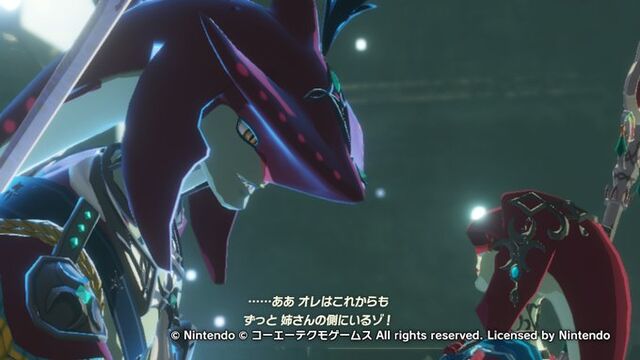 ゼルダ無双 だるだるだるめしあん ゼルダ無双 だるだるだるめしあん