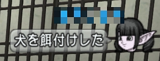 immag9e033