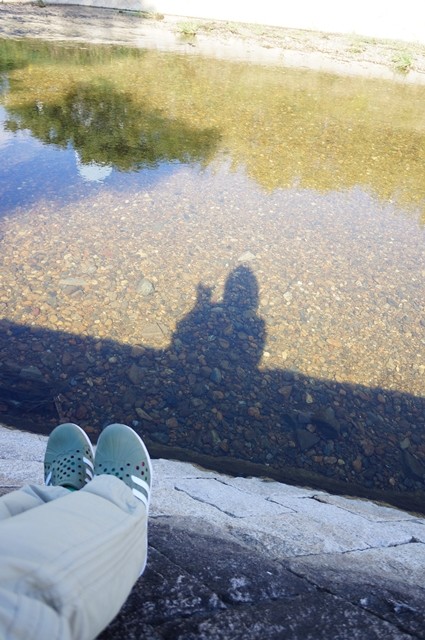 ■121019散歩 (14)