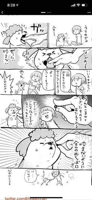 ■71655119_1923454437798834_7752614886395346944_n