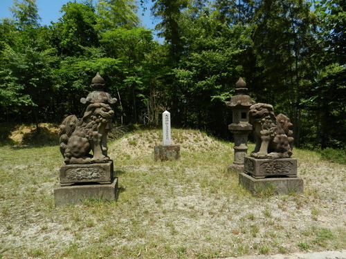 DSCN1410