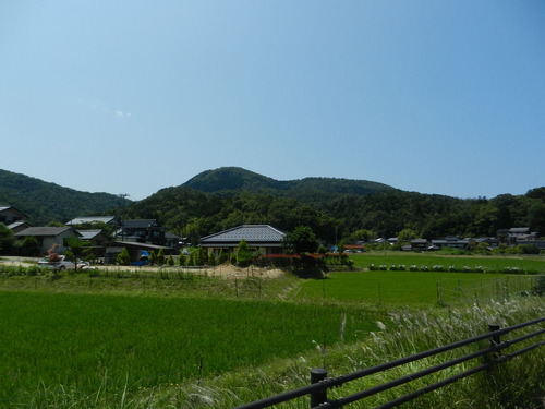 DSCN1412