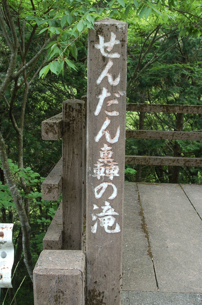 日本の滝百選 29 せんだん轟の滝 熊本県八代市 丹後の野山を歩こう会 日本の滝百選 29 せんだん轟の滝 熊本県八代市 丹後の野山を歩こう会