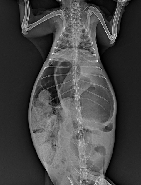 スクリーンショット 2024-01-13 12.36.06