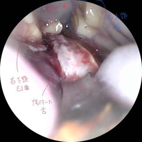 Image_2024-01-20 18_46_30_133