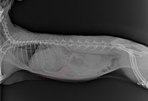 スクリーンショット 2024-04-01 16.03.37