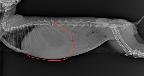 スクリーンショット 2024-01-18 8.40.01