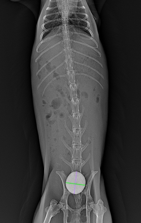 スクリーンショット 2024-01-25 19.44.42