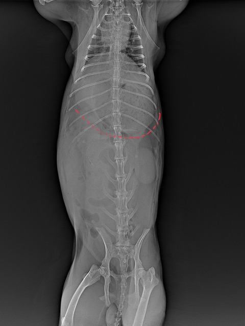 スクリーンショット 2024-04-01 16.03.41