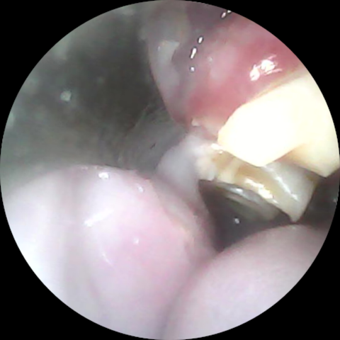 Image_2023-02-17 10_45_18_084