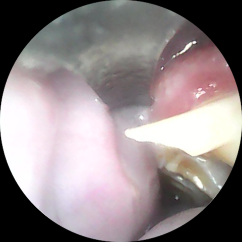 Image_2023-02-17 10_45_01_889