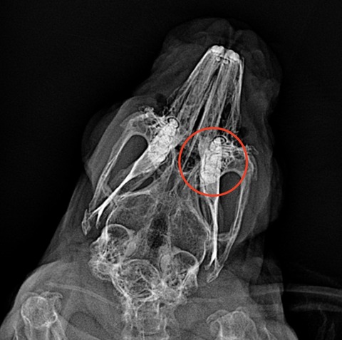 スクリーンショット 2023-12-01 16.43.13