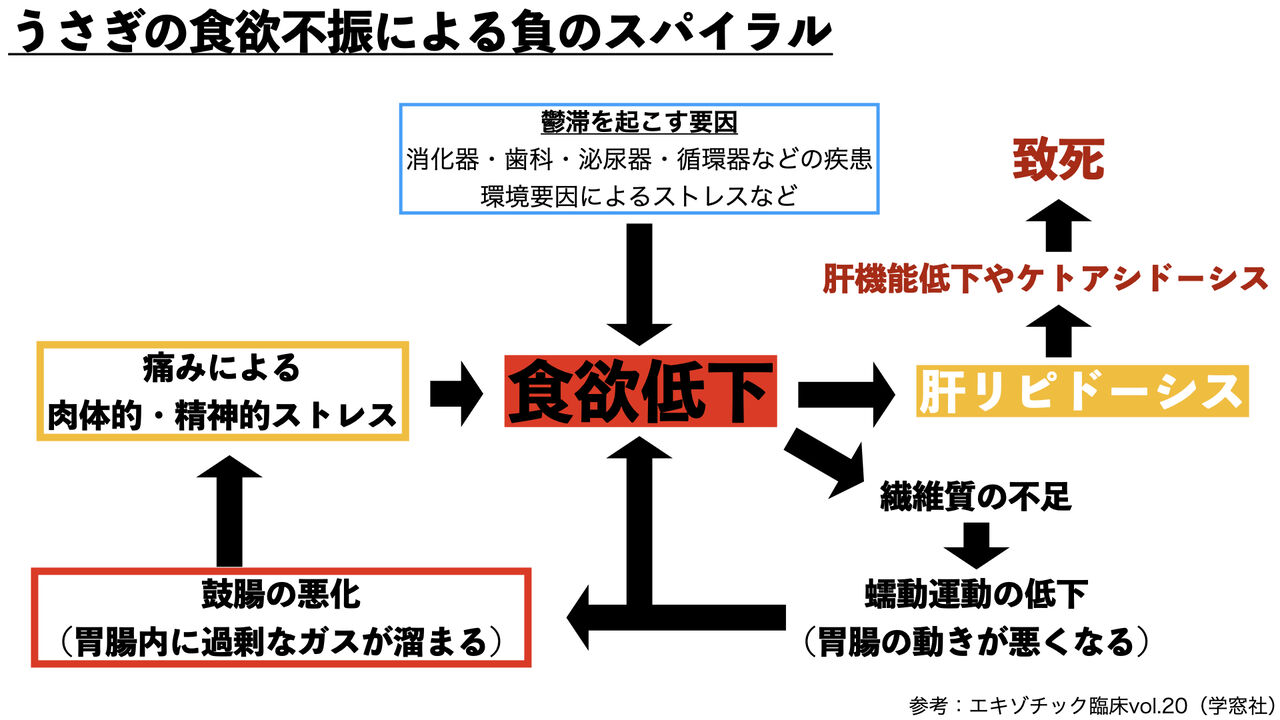 獣医師 脱兎マンの備忘録:2024年11月