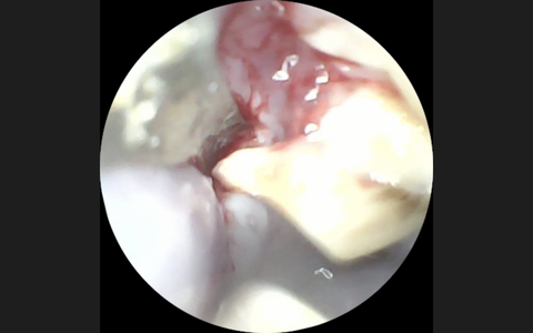 スクリーンショット 2024-11-26 18.48.20