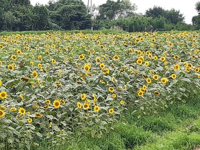 20190819_133059