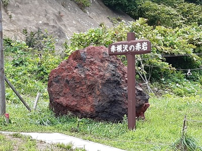 20190810_113153