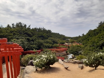 20190813_120855
