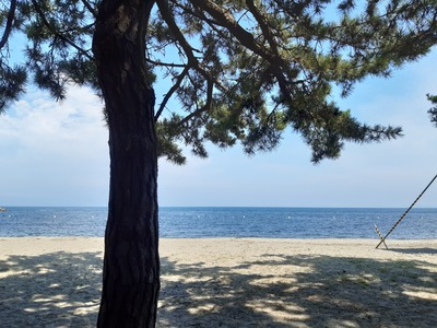 20190819_093801