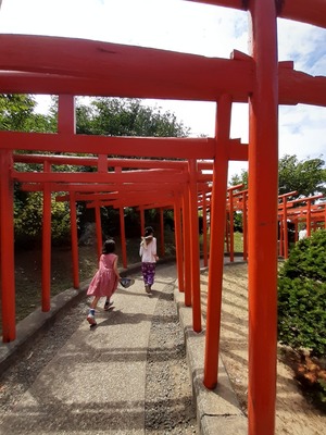 20190813_121151
