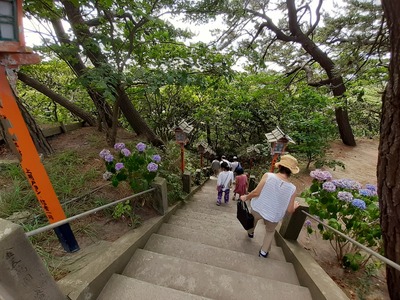 20190813_115424