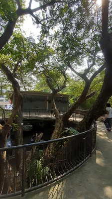 20191022_140706