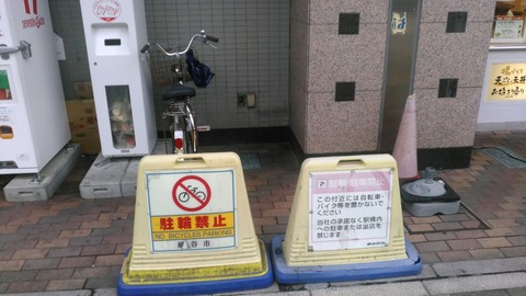 jpg