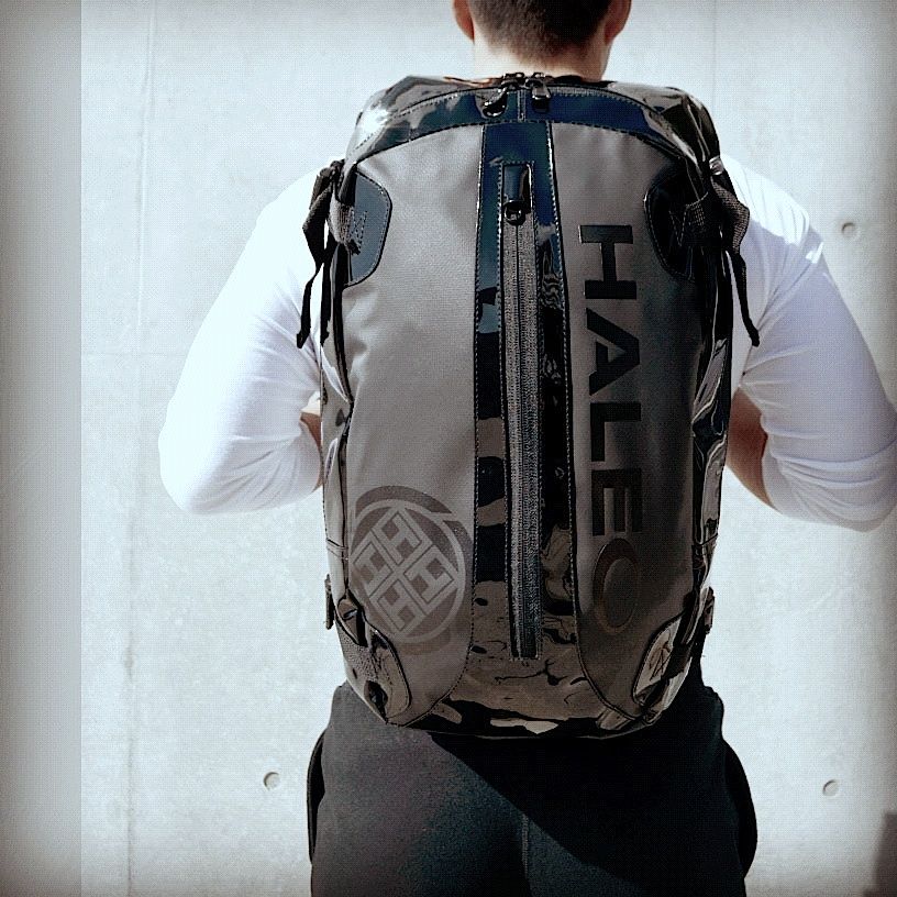 HALEO [STEALTH 99] : HALEO DOMAIN | David Haltonのブログ 