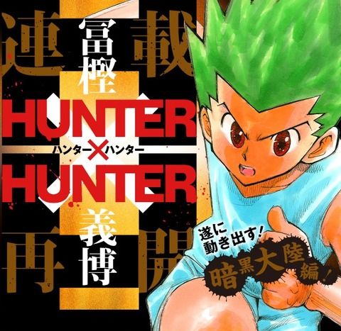 【朗報】「HUNTER×HUNTER」最新33巻が発売決定ｷﾀ━━(ﾟ∀ﾟ)━━!!【画像】