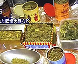 【動画】 長野の限界集落で衝撃の大麻事件 所持容疑で２２人逮捕、男女が大麻コミュニティー形成か