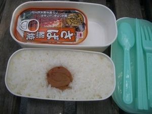 【緊急】　おまえら今すぐ 「 手抜き弁当 」 で画像検索してみろ