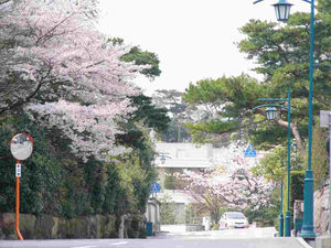 【悲報】日本最強の高級住宅街芦屋市「六麓荘町」の豪邸で教え子のJKから10万円を盗んだ京大医学部生の家庭教師が逮捕される