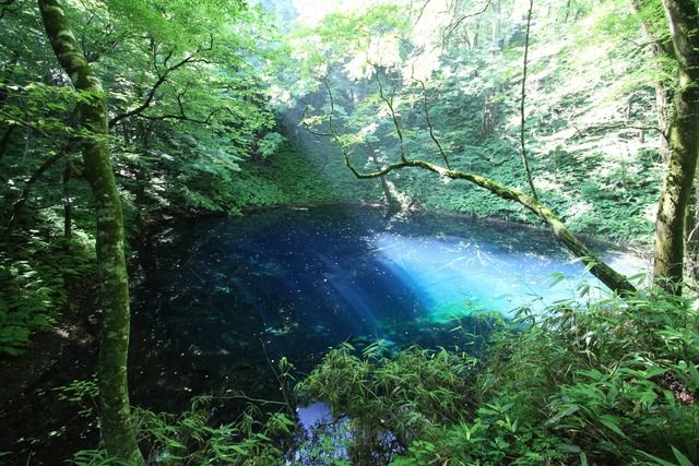 水の色が綺麗な写真貼ってく