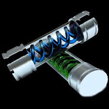 ダウンロード (29)