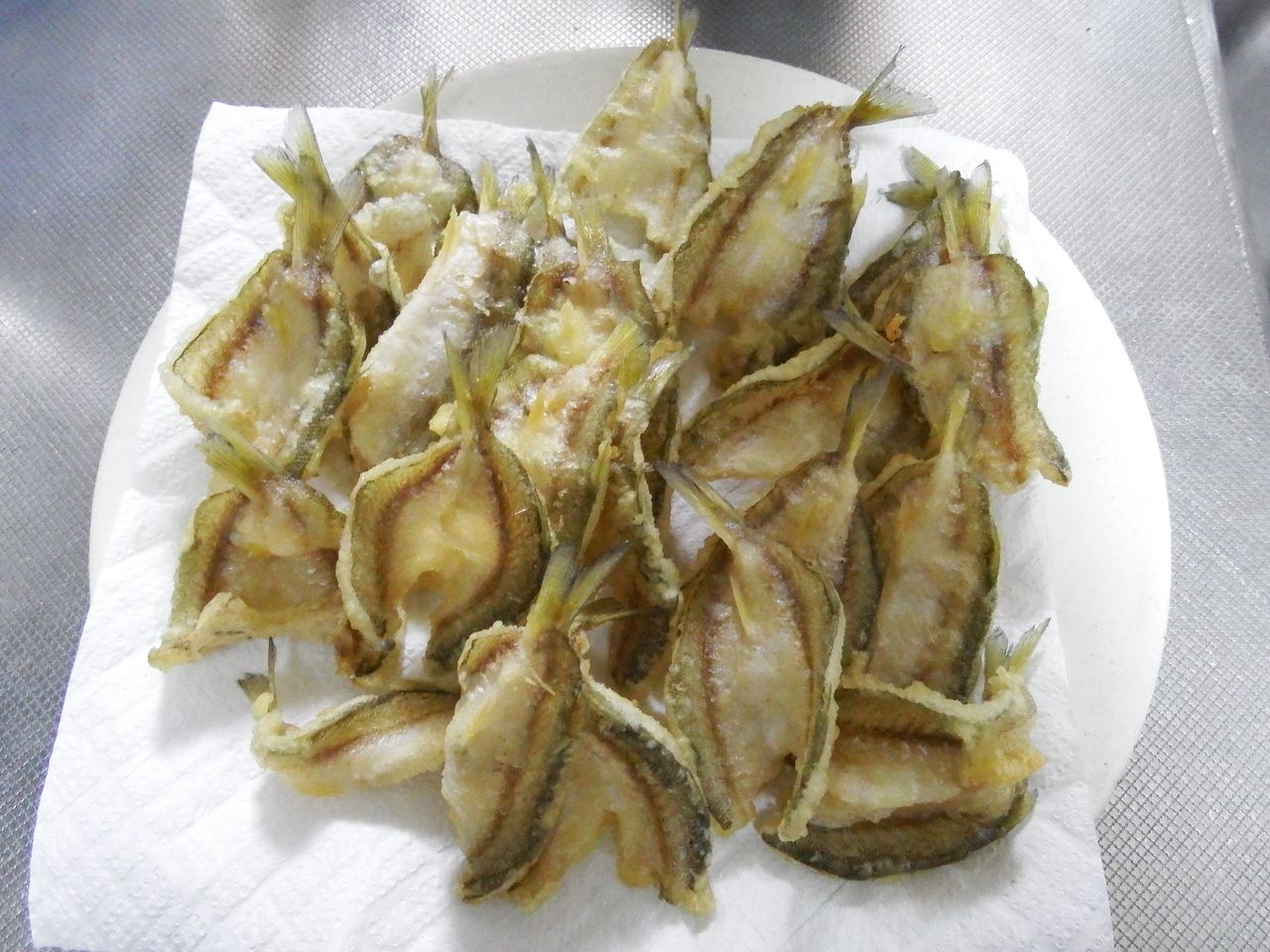 鉛筆上等カマスは美味い 新潟東港周辺デイアジング専科