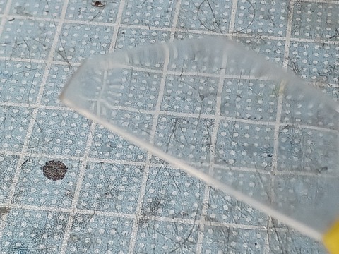 20241229_231120