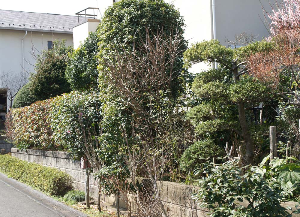 イメージ 2