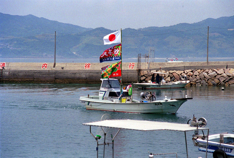 イメージ 5
