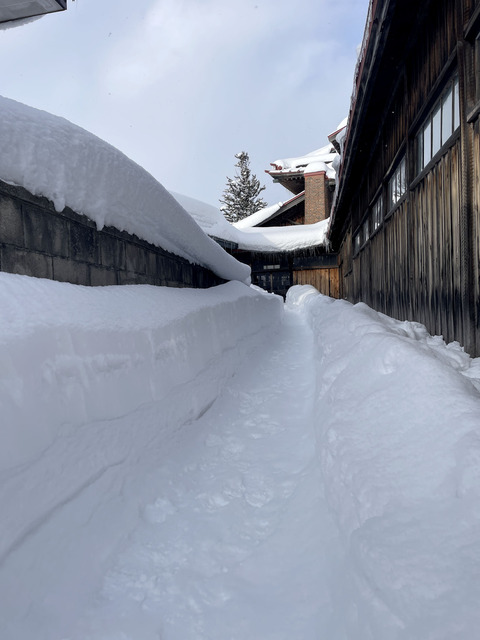 雪の回廊