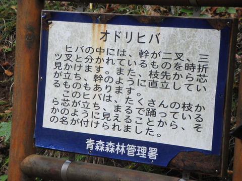 DSC02998