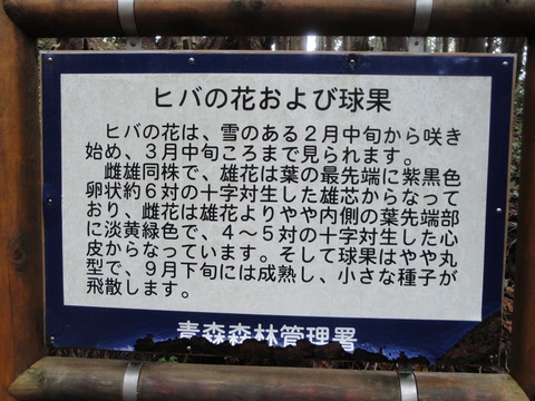 DSC02990