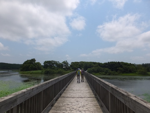 DSCF8619