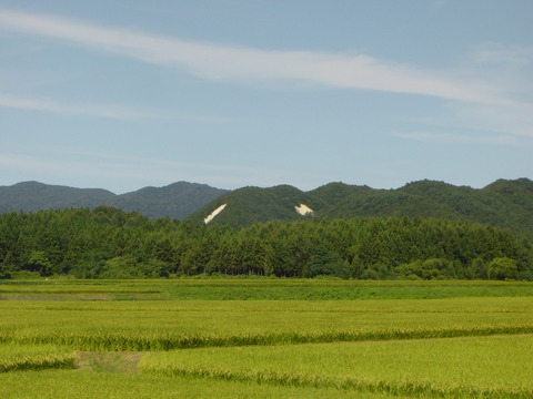 2004馬禿山