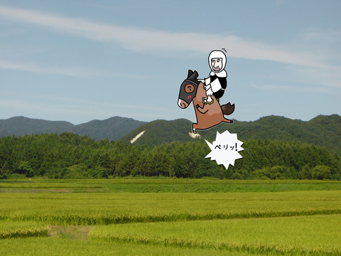 ベンケイ説