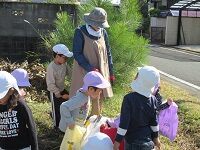 IMG_0677