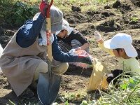 IMG_0682