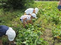 IMG_0229
