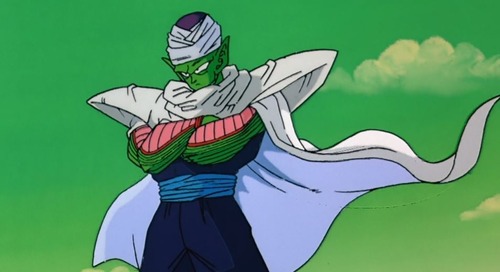 piccolo3